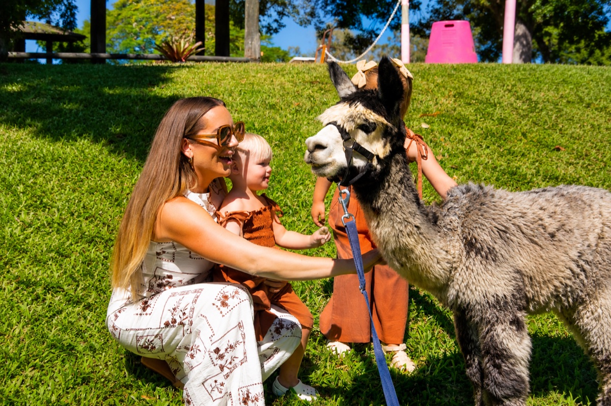 Alpaca & Animal Feeding